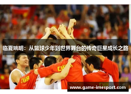 临夏姚明：从篮球少年到世界舞台的传奇巨星成长之路