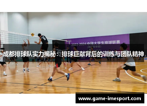 成都排球队实力揭秘：排球巨献背后的训练与团队精神