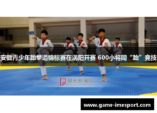 安徽青少年跆拳道锦标赛在涡阳开赛 600小将同“跆”竞技