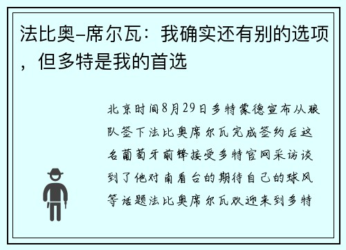 法比奥-席尔瓦：我确实还有别的选项，但多特是我的首选